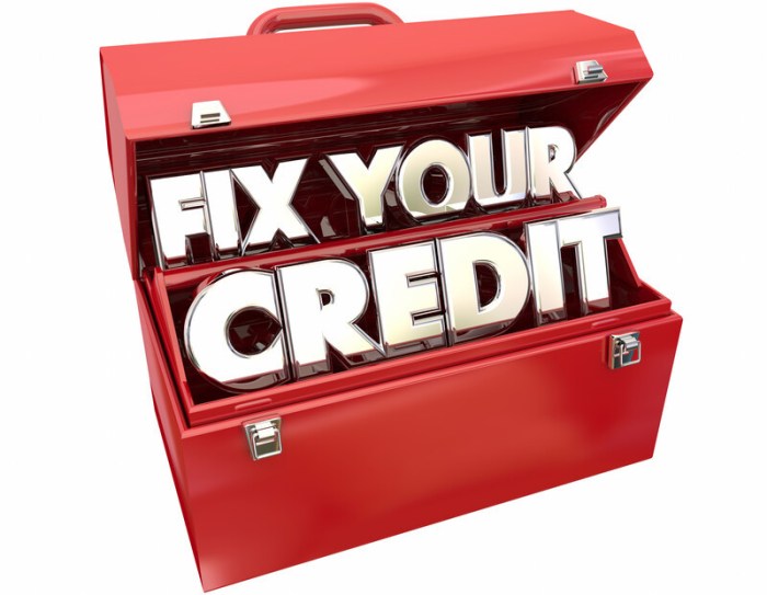 Credit repair fixing their who companies assistance individuals lots need there today fix website