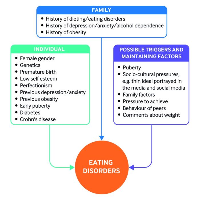 Hesi seizure disorder case study