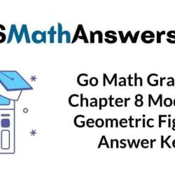 Modeling geometric figures module quiz d