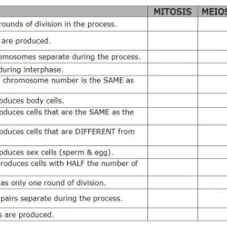 Starch chegg phrase describes determine