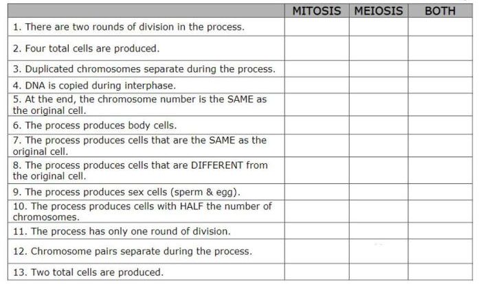 Starch chegg phrase describes determine