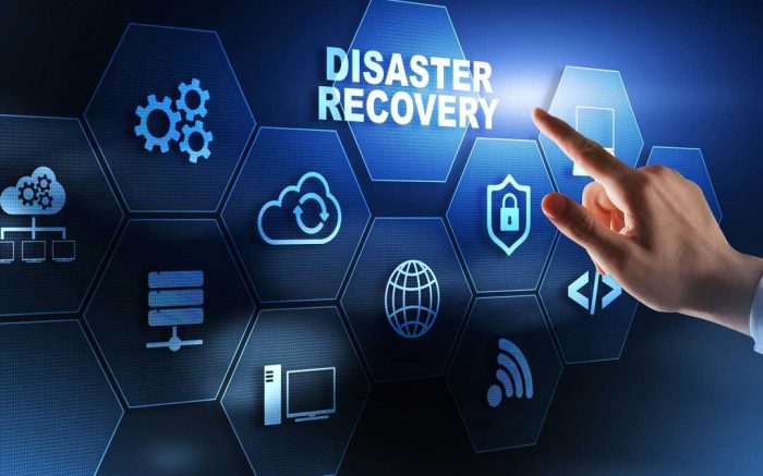 Disaster recovery cost much does business