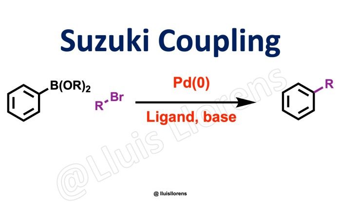 Suzuki reaction mechanism coupling miyaura hydroxide oxidative yield thallium palladium catalyzed