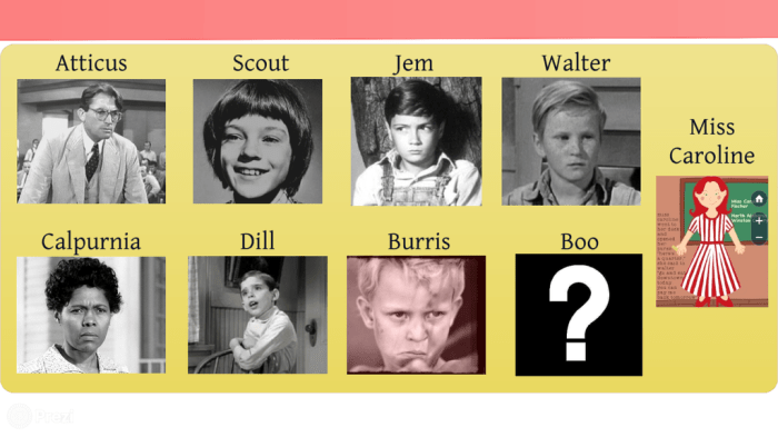 Who is walter cunningham jr to kill a mockingbird