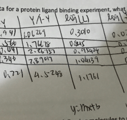 Ag-ab binding may result in all of the following except